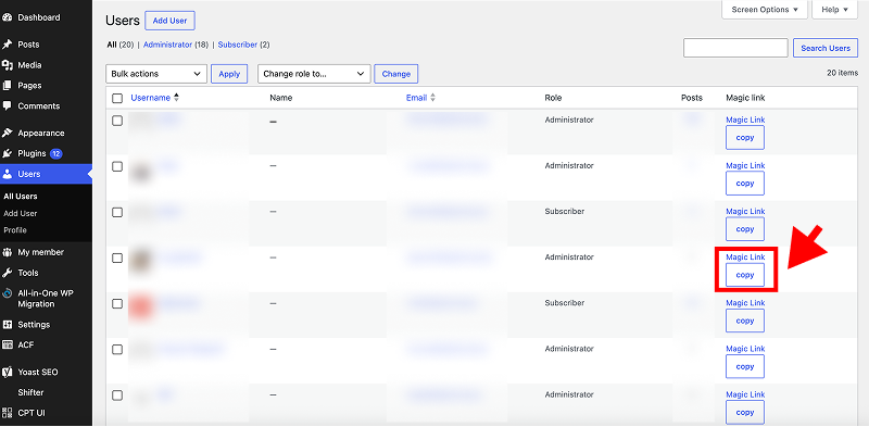 Screenshot: From the list of users, select the user you want others to log in as, and click the [Copy] button next to that user’s Magic Link.