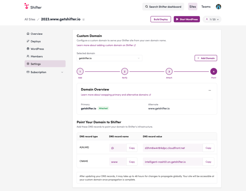 Screenshot: Custom Domain and DNS Settings